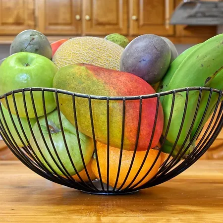 Дом отдыха Ponte Cottage, A In Madeira Relogio do Poiso