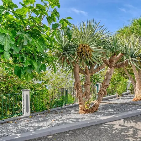 Ponte Cottage, A In Madeira Relogio do Poiso